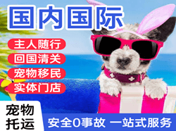 万州五桥航空邮寄国际宠物托运 【国